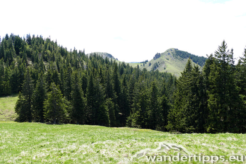 Krautgärten Abbildung 11