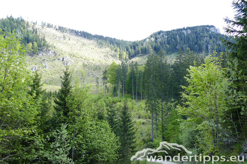 Krautgärten Abbildung 12