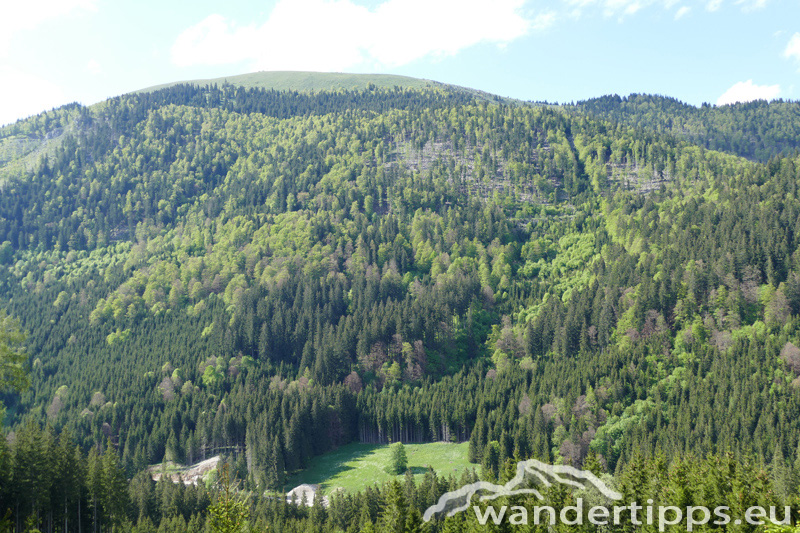 Krautgärten Abbildung 13