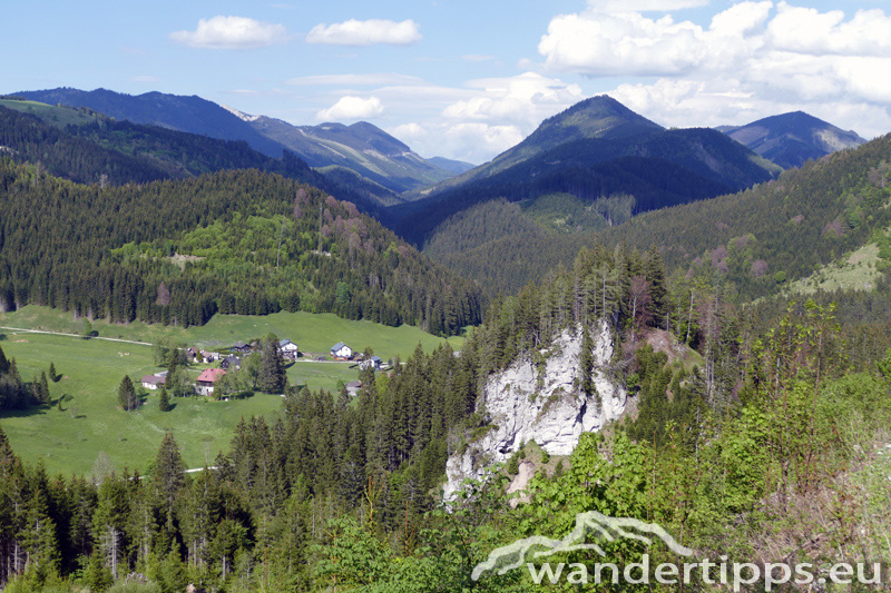 Krautgärten Abbildung 14