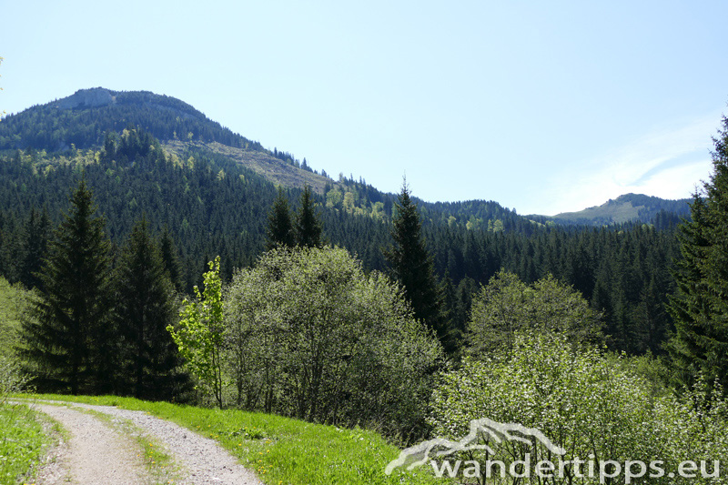 Krautgärten Abbildung 4