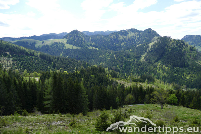 Krautgärten Abbildung 5