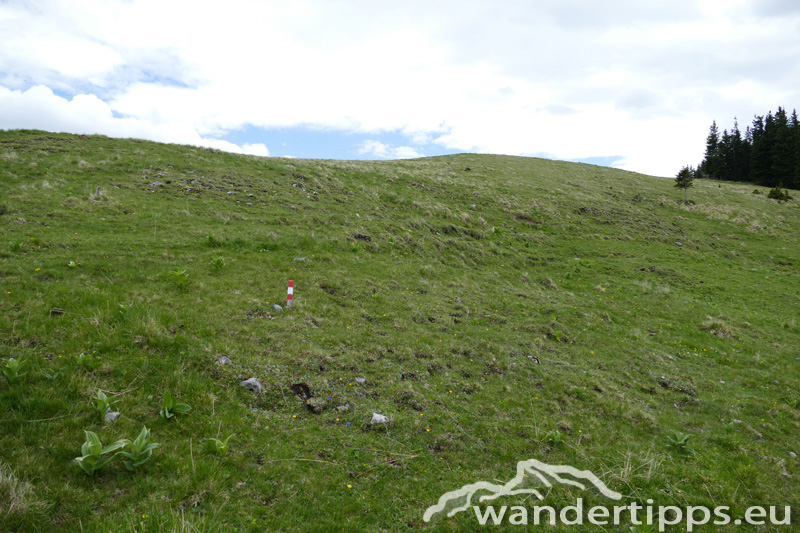 Krautgärten Abbildung 7