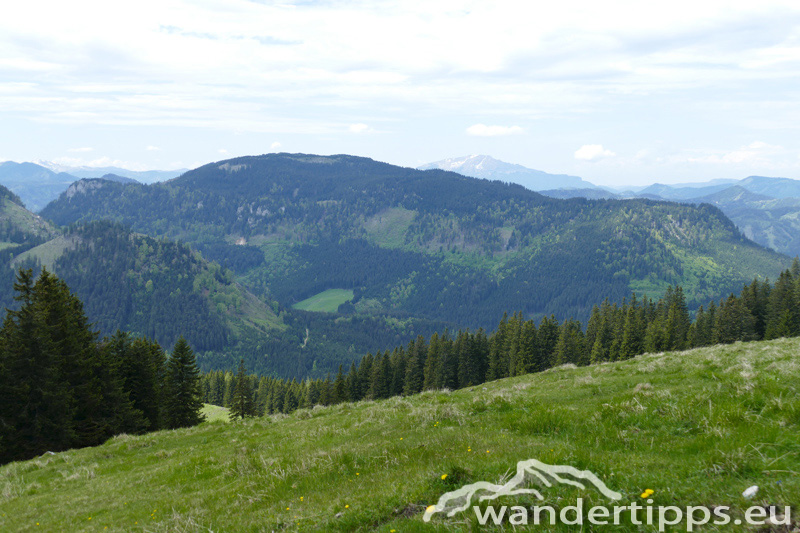 Krautgärten Abbildung 9