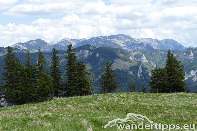 Krautgärten Abbildung 10