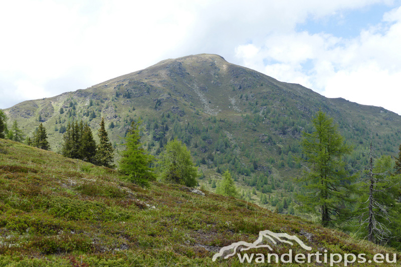 Gstoder vom Süden Abbildung 13