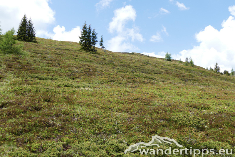 Gstoder vom Süden Abbildung 14