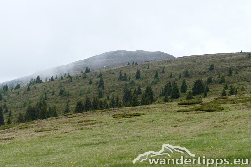 Gstoder vom Süden Abbildung 4