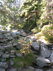 Hochwechsel über Niederwechsel Abbildung 4