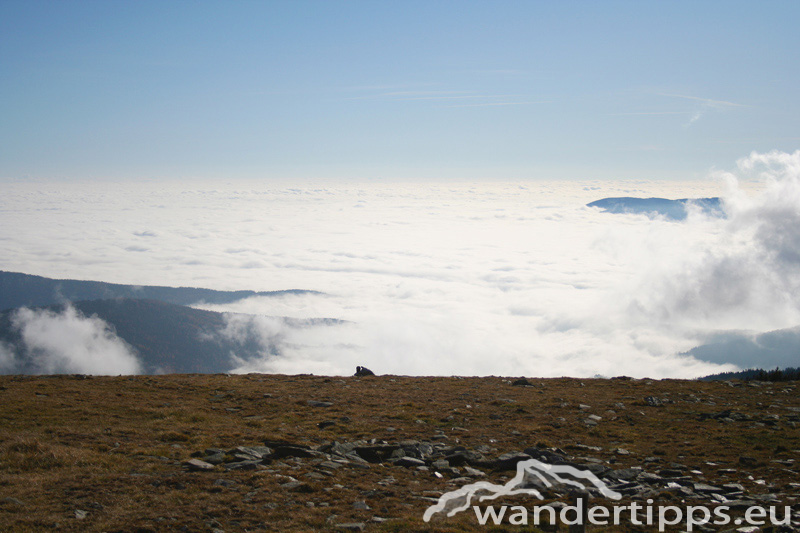 Hochwechsel über Niederwechsel Abbildung 11