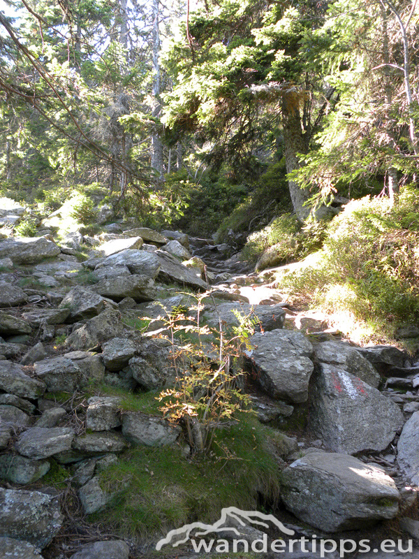 Hochwechsel über Niederwechsel Abbildung 4