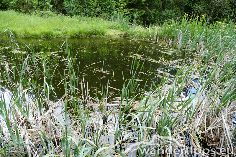 Hochwechsel über den Themenweg Erlebnis Wildwasser Abbildung 2