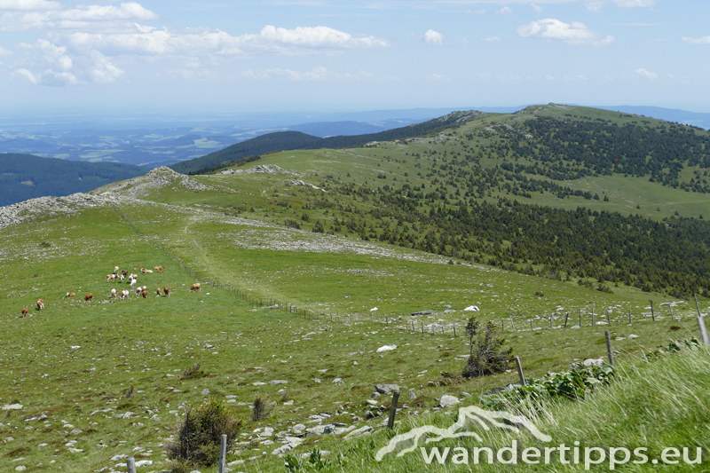 Hochwechsel über den Themenweg Erlebnis Wildwasser Abbildung 11
