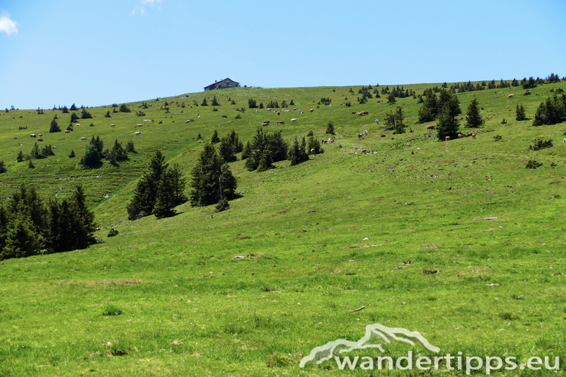 Hochwechsel über den Themenweg Erlebnis Wildwasser Abbildung 6