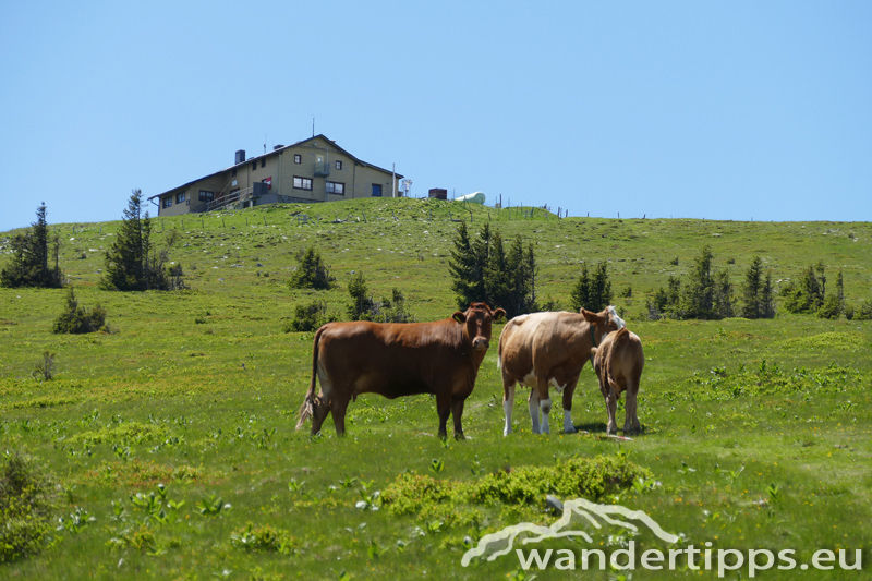 Hochwechsel über den Themenweg Erlebnis Wildwasser Abbildung 7