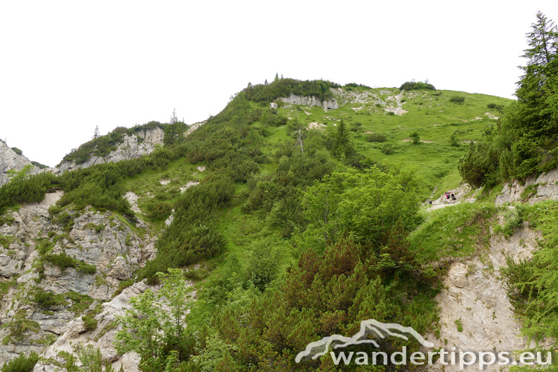 Plumsjochspitze/Satteljoch Abbildung 4