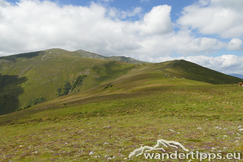 Maria Schnee/Lamprechthöhe Abbildung 7