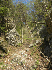 Haltestelle Baumgartner Abbildung 4