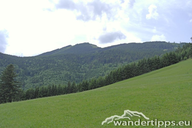 Haltestelle Baumgartner Abbildung 14