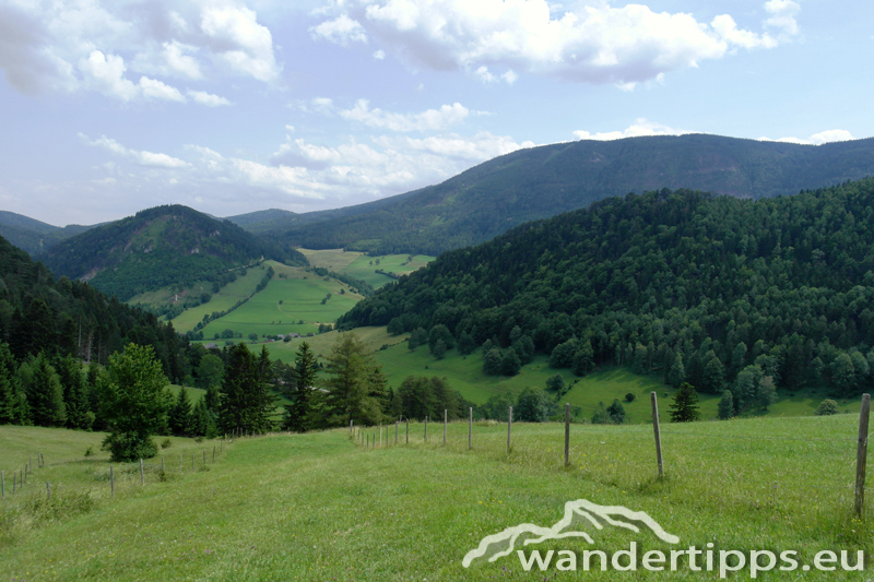 Haltestelle Baumgartner Abbildung 15