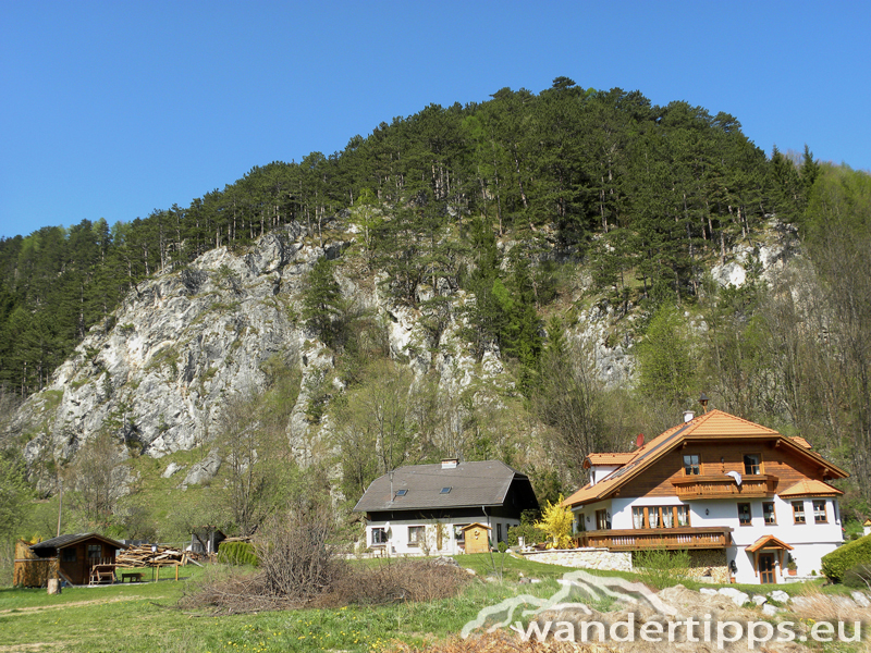 Haltestelle Baumgartner Abbildung 3