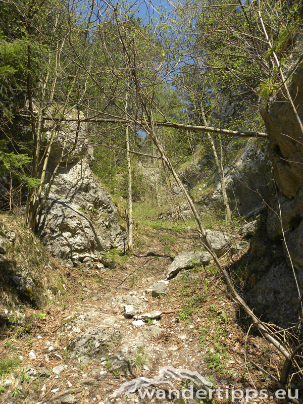 Haltestelle Baumgartner Abbildung 4