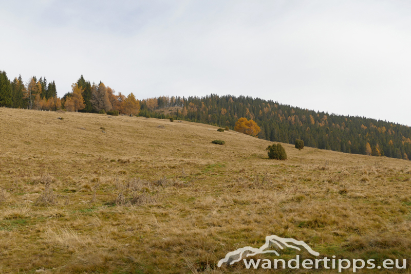 Steinplan Abbildung 4