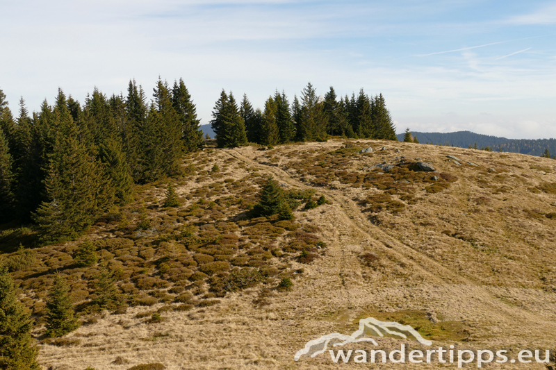 Steinplan Abbildung 6