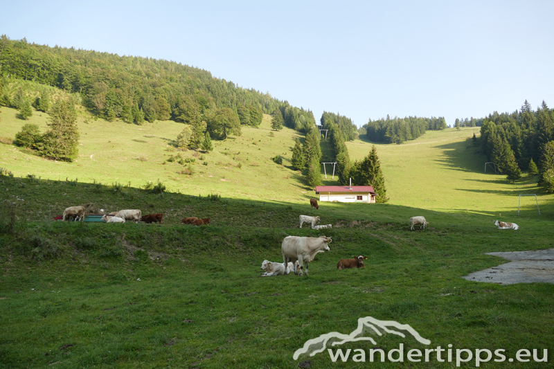 Bodenwies Abbildung 2