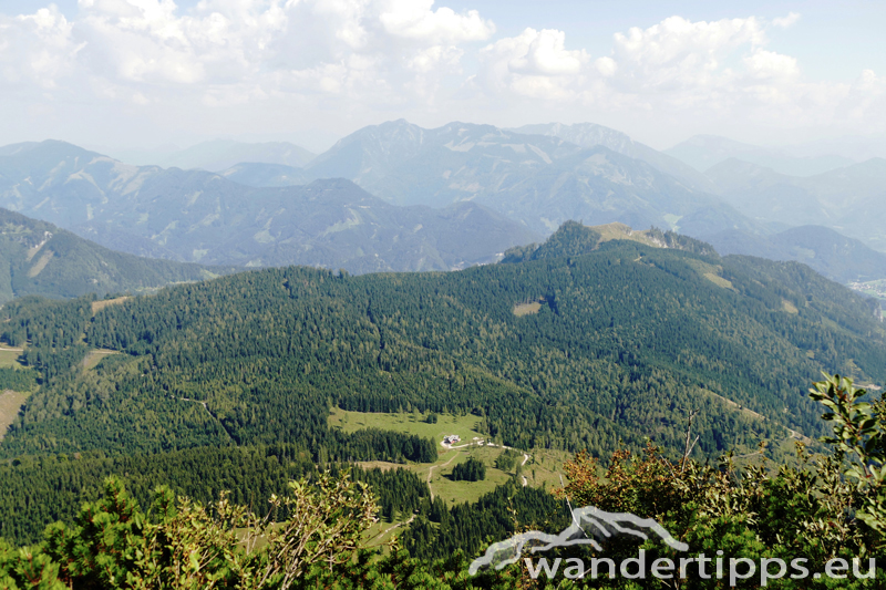 Bodenwies Abbildung 11