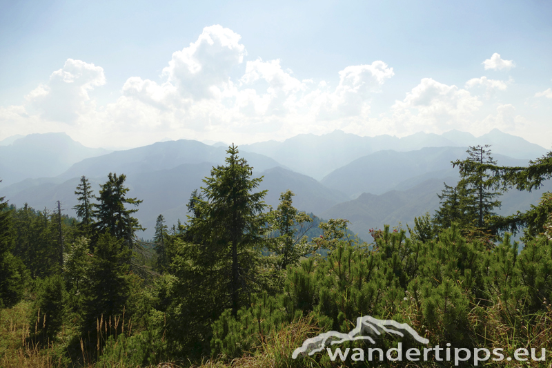 Bodenwies Abbildung 12