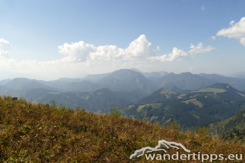 Bodenwies Abbildung 13