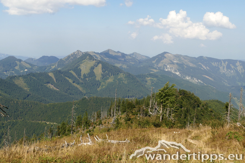 Bodenwies Abbildung 14