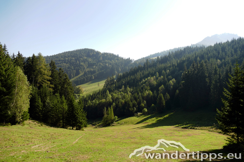 Bodenwies Abbildung 15