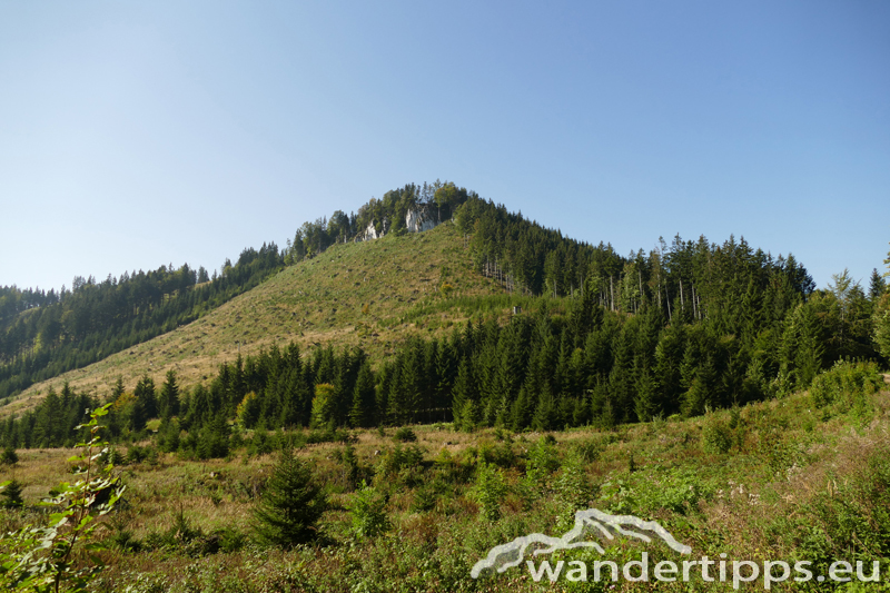 Bodenwies Abbildung 3