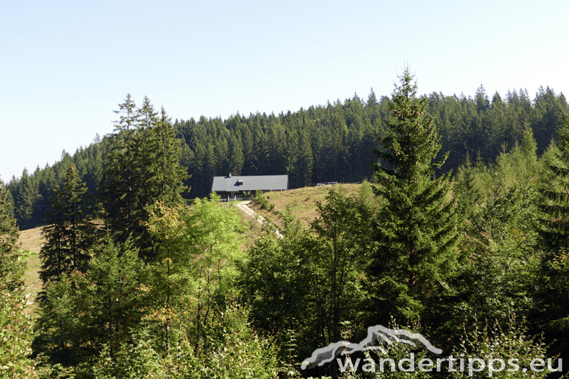 Bodenwies Abbildung 5