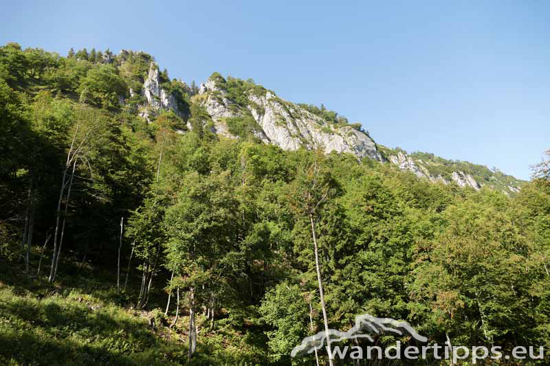 Bodenwies Abbildung 6