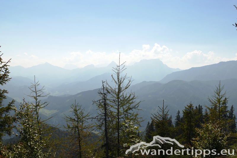 Bodenwies Abbildung 7