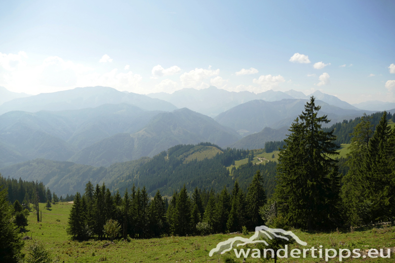 Bodenwies Abbildung 9