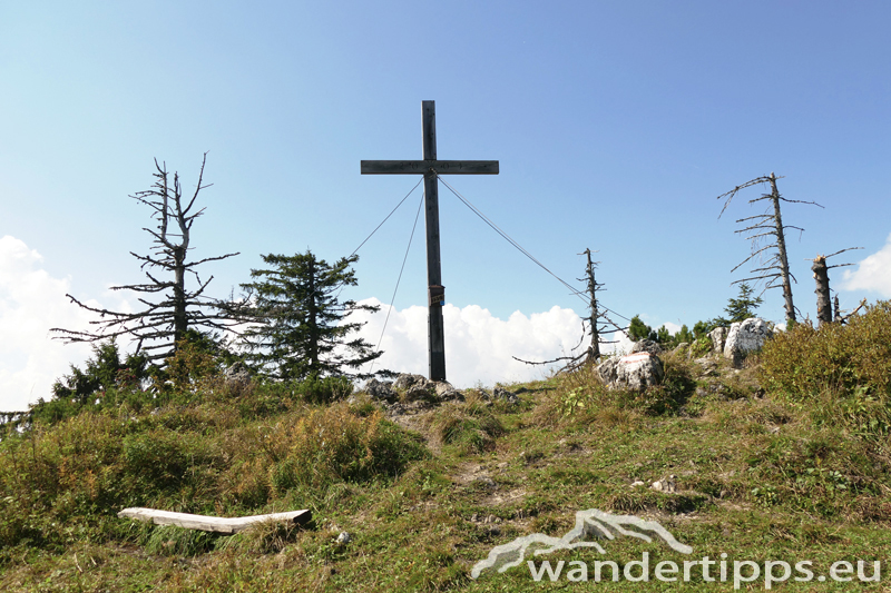 Bodenwies Abbildung 10