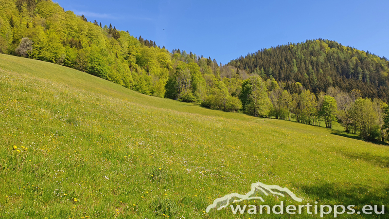 Hennesteck von Süden Abbildung 4