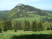 Reisalpe von Nordosten Abbildung 11