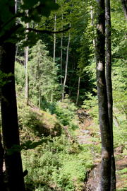 Reisalpe von Nordosten Abbildung 3