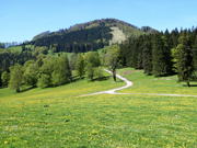 Reisalpe von Nordosten Abbildung 5