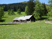 Reisalpe von Nordosten Abbildung 6