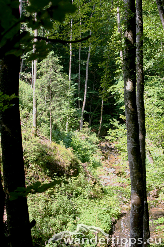 Reisalpe von Nordosten Abbildung 3