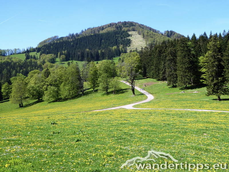 Reisalpe von Nordosten Abbildung 5