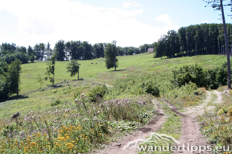 Hocheck von Norden Abbildung 4
