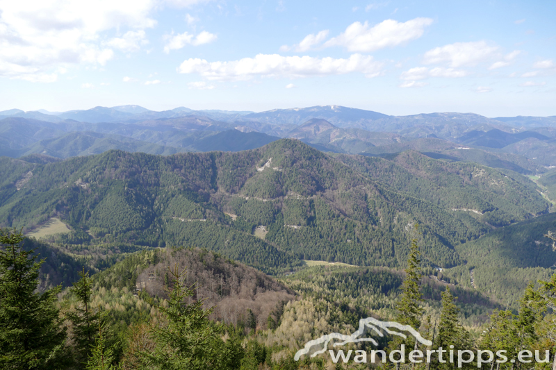 Schober/Öhler von Norden Abbildung 11