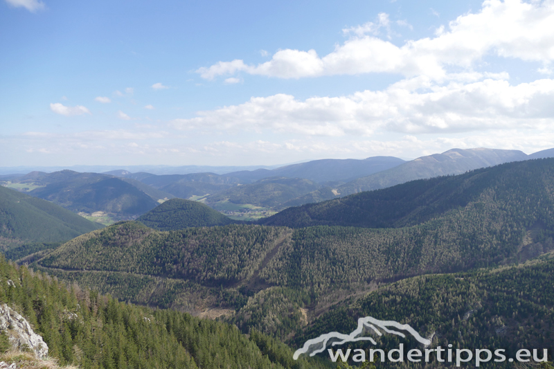 Schober/Öhler von Norden Abbildung 12